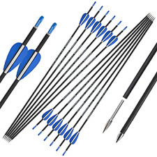 Archery arrows carbon for sale  Shipping to Ireland