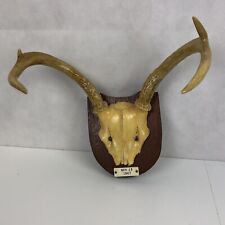 60s VTG 4pt Deer Antler Trophy Mount Wood Plaque Man Cave Taxidermy NY Whitetail for sale  Shipping to South Africa
