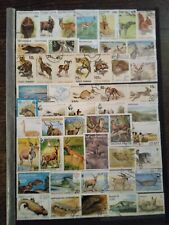 Lot timbres animaux d'occasion  Sahurs