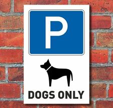 Schild hundeparkplatz hund gebraucht kaufen  Bad Driburg