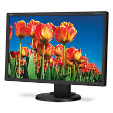 Monitor LCD 22" polegadas NEC MultiSync E222W widescreen (1680x1050, DVI, VGA, preto) comprar usado  Enviando para Brazil