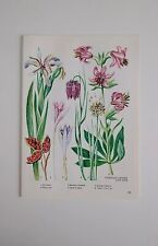 Vintage botanical art for sale  BIRKENHEAD