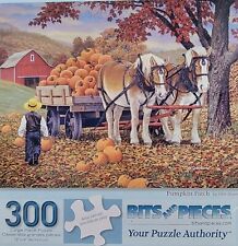 Puzzle Parche Calabaza 300 Piezas COMPLETO Brocas y Piezas John Sloane Piezas Grandes segunda mano  Embacar hacia Argentina