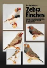 Guide zebra finches for sale  UK