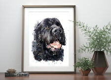 Newfoundland dog print for sale  UK