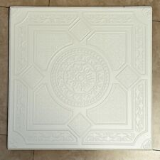 Home Decor Ceiling Tiles 20x20 R30 Ant White Semi Gloss LOT/6 AS IS (15.84 s/f) for sale  Shipping to South Africa