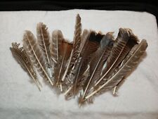 Lot Of Feathers for sale  Shipping to South Africa