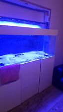 Marine fish tank for sale  DONCASTER