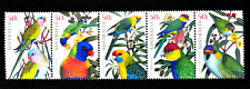 Australia 2005 birds for sale  MILTON KEYNES