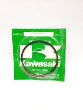 Usado, NUEVO JUEGO DE ANILLOS DE PISTÓN KAWASAKI 87-88 KDX200 KDX 200 NOST 13008-1093 FABRICANTE DE EQUIPOS ORIGINALES segunda mano  Embacar hacia Argentina