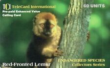 lemur usato  Italia