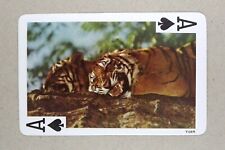 Playing card tiger for sale  EASTBOURNE