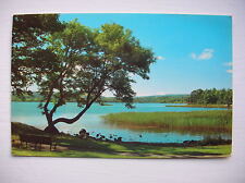 Windermere postcard waterhead for sale  FALKIRK