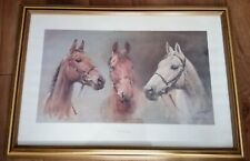 Arkle red rum for sale  BRAINTREE
