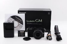 Panasonic dmc gm1 usato  Spedire a Italy