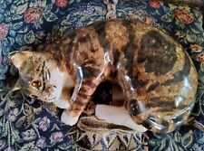 winstanley cats for sale  ST. ANDREWS