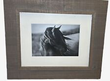 Framed horse photograph. for sale  Ardmore
