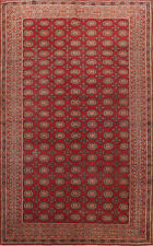 Red vintage anatolian for sale  Charlotte