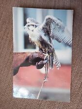 Vintage postcard falcon for sale  KINGSWINFORD