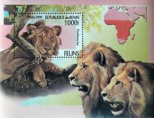 Benin big cats for sale  Shipping to Ireland