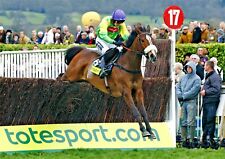 Kauto star jumping for sale  LONDON