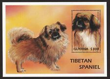 Tibetan spaniel int for sale  Springfield