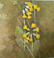 Cowslips print painting for sale  COLNE