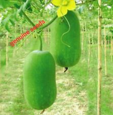 Hybrid bangladeshi vegetable for sale  LONDON