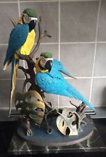 blue gold macaw for sale  HEMEL HEMPSTEAD