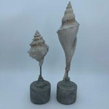Set resin seashell for sale  Allentown