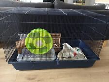 Mamble hamster rat for sale  LONDON
