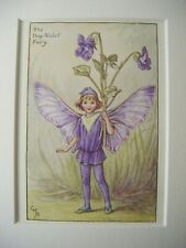 Dog violet fairy for sale  TELFORD