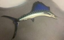 Taxidermy 9ft sailfish for sale  Fallbrook