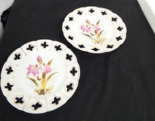 Pair ribbon plates for sale  HASSOCKS