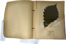 Page antique herbarium for sale  Atlanta