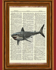 Great white shark for sale  Hernando
