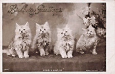 Usado, Listo & Waiting Lindo Gatitos Gatos ~ Antigüedad 1906 Giratorio Foto Tarjeta comprar usado  Enviando para Brazil
