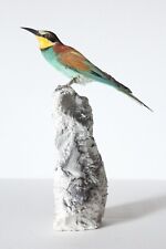 Taxidermy-hunting-chasse-präparat- European Bee-eater with permit for sale  Shipping to South Africa