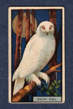 Snow owl 1910 for sale  Shipping to Ireland