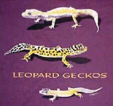 adult leopard gecko for sale  Grafton