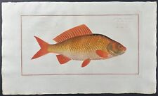 Bloch gold fish for sale  Shipping to Ireland