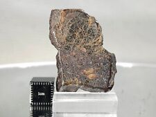 NWA 16158 Diogenite 17.9g, diogenite (noritic breccia) meteorite, polished half for sale  Shipping to South Africa