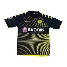 Borussia dortmund 2009 gebraucht kaufen  Köln