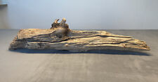 Treibholz driftwood schwemmhol gebraucht kaufen  Langenargen