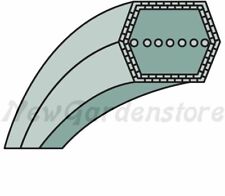Cinghia esagonale trattorino usato  Ficarolo