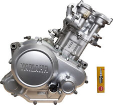 yzf 125 motor gebraucht kaufen  Kernstadt-Süd