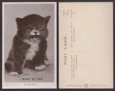Old cat postcard for sale  Niagara Falls