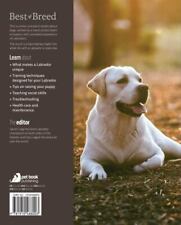 Labrador essential guide for sale  USA