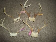 Lot michigan whitetail for sale  Beulah
