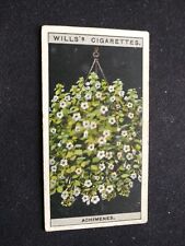 1925 WD & HO Wills Flower Culture In Pots Card # 1 Achimenes (VG/EX) for sale  Shipping to South Africa